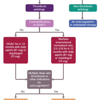 Recommended Algorithm for Anticoagulation