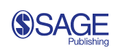 SAGE Publishing